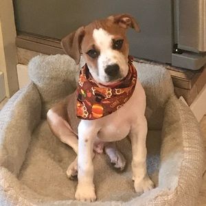 Meet your Posher, Cynthia